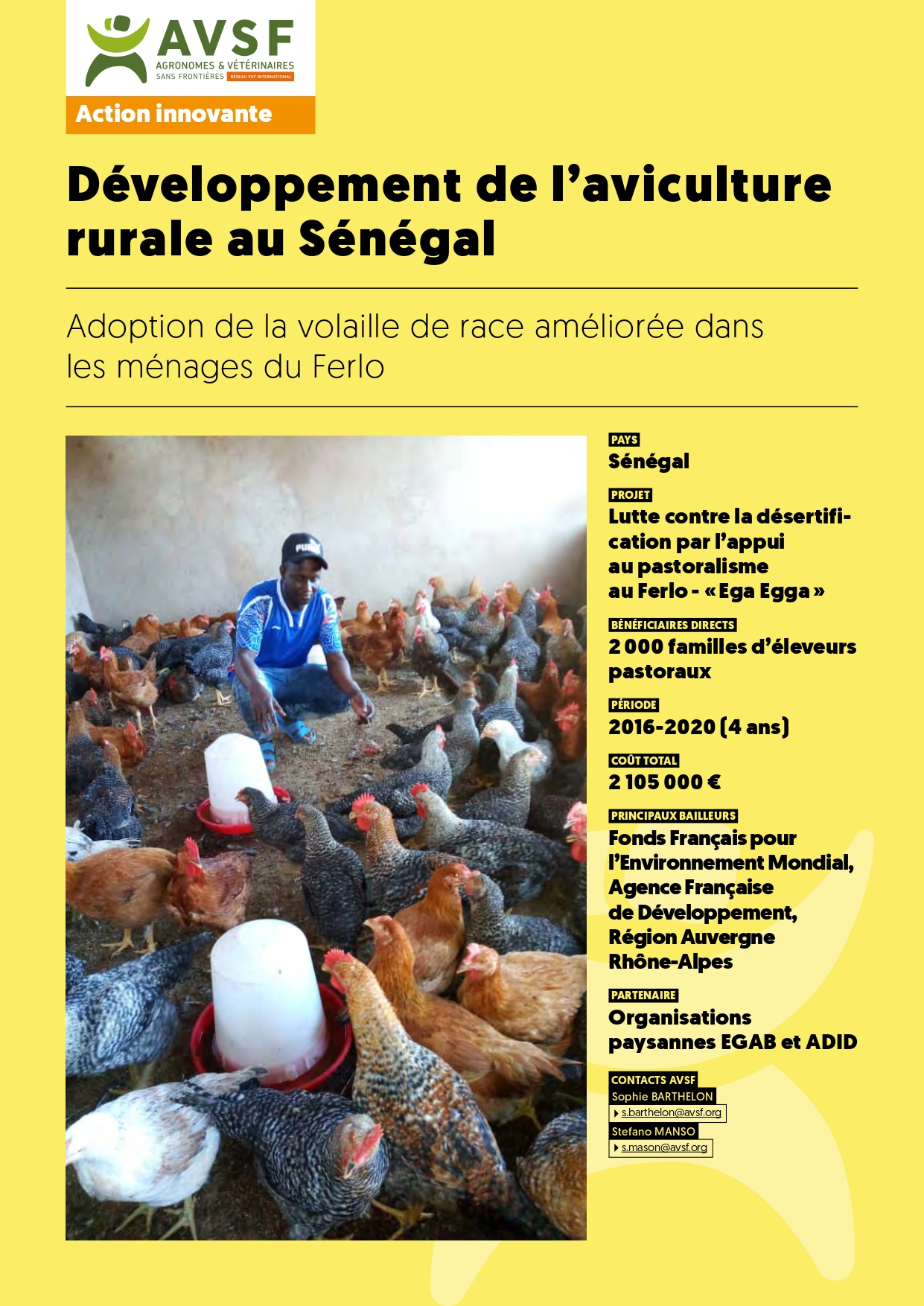 Développement de l’aviculture rurale au Sénégal publié en 2021